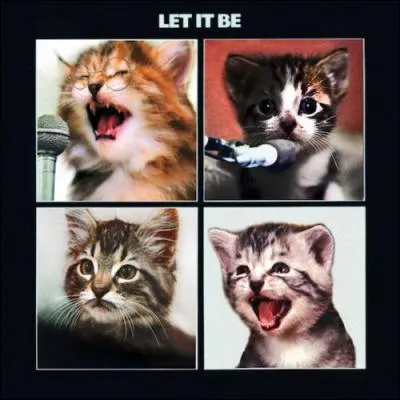 A quel groupe de Rock, appartient cette pochette ' remiaousise' ?