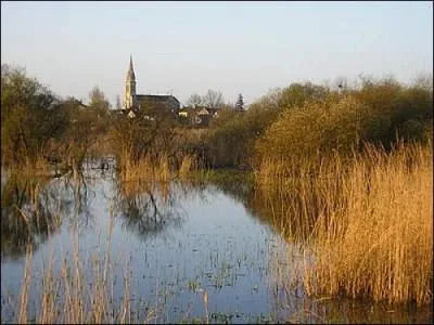 Quelle est cette pittoresque rgion marcageuse situe en Loire-Atlantique ?