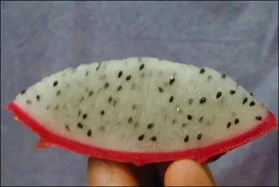 Quel est ce fruit exotique ?