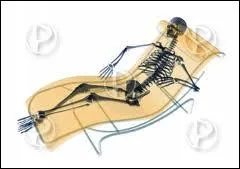 La minute du sourire : Que reprsente cette image ?