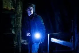 Bon trs bien, tu es arriv au bout ! Tu n'as pas forcment les bonnes rponses mais, aprs tout, Harry ne parle pas franais et pourtant c'est un :