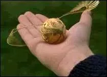 T'es fort en Quidditch ? Mon oeil ! Bon, bon, ok. Ok, t'nerve pas en silence ! Bon, quel poste y occupe Harry ?