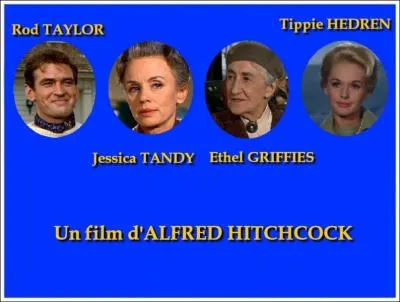 Horreur  Bodiga bay :