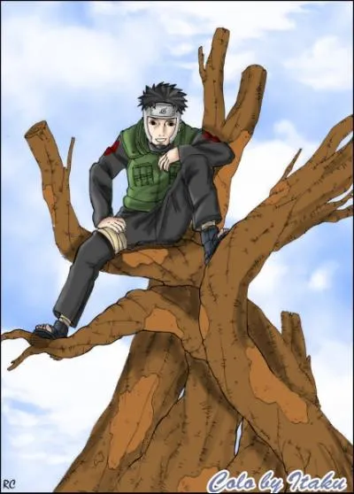 Combien de personnes possdent du chakra Mokuton ?