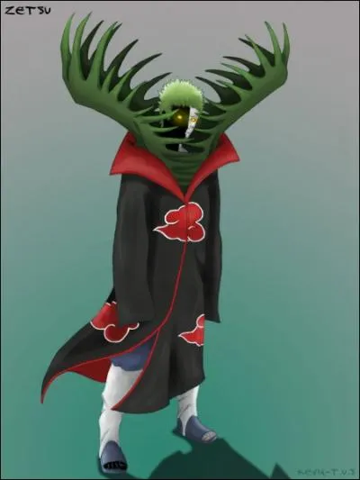 Quel est le pouvoir du Zetsu blanc ?