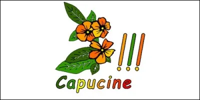 Que siginifie le prénom Capucine, d'origine latine ?