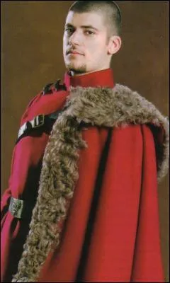 Le joueur irlandais Viktor Krum est un clbre attrapeur.