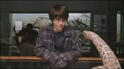  l'occasion de l'anniversaire de Dudley, la famille Dursley se rend au zoo (premier tome). Harry Potter et Peter Polkiss accompagnent les Dursley.