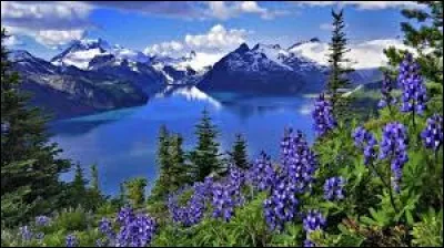 Quel chanteur n'est pas suisse ?