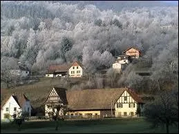 Qui chantait "on en a passé des mois de décembre, avec la neige au milieu de la chambre'' ?