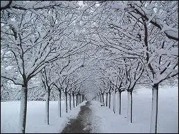 Qui chantait "Dehors il fait un froid de chien un froid de chagrin de décembre'' ?