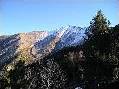 Complétez ce proverbe : ''Décembre trop beau ... ''