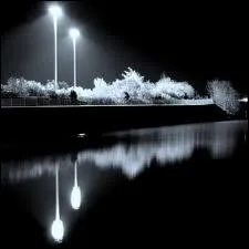 Quel est l'auteur du poème ''La Nuit de décembre'' ?