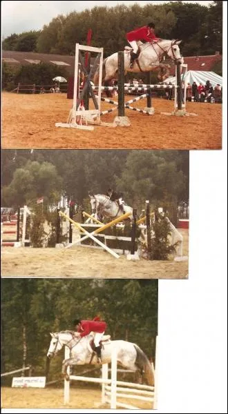 On compte environ ... disciplines questres.