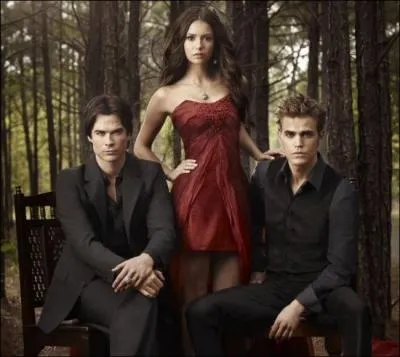 Que donne Stefan  Elena pour se protger des vampires ?