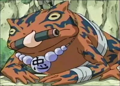 Jiraiya se promne souvent sur le dos d'un crapaud du nom de :