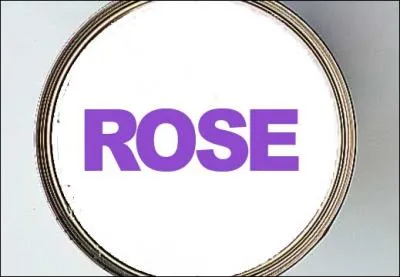 Quelle est la couleur de la peinture ?