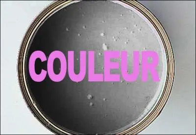 Quelle est la couleur de la peinture ?
