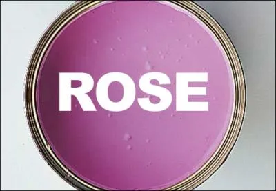 Quelle est la couleur du texte ?