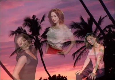 Lequel de ces hommes a t mari  Paige ?