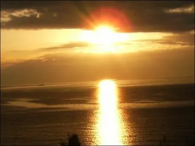 Qui chante : Quand tes cheveux s' talent comme un soleil d' t... ?