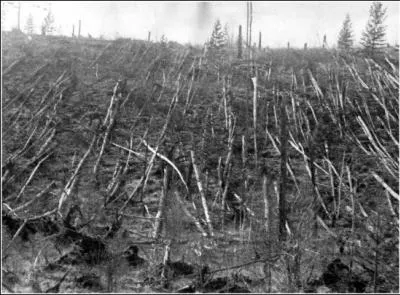 En 1908,  Tunguska, un objet stellaire a explos (1000 bombes d'Hiroshima), ravageant 60 millions d'arbres sur 20 km de diamtre. De quoi s'agissait-il ?