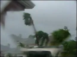 Hors les tornades, il a t homologu en 2010 le vent le plus violent jamais observ scientifiquement. C'tait en 1996, en Australie, le cyclone Olivia. Quelle vitesse le vent a-t-il atteint ?