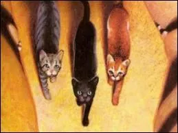 Lequel des trois ressemble le plus  Feuille de Lune ? ...