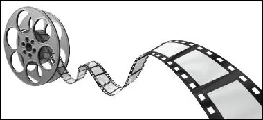 En quelle anne a-t-il eu le prix du meilleur roman adaptable au cinma en france ?