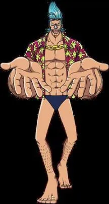 Qui intgre l'quipage aprs Franky ?