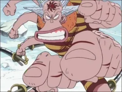 Octo : Selon lui, combien pse chacun de ses sabres ?