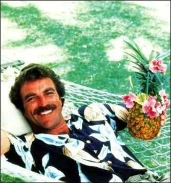 Parmi ces sries qui se droulent toutes  Hawaii, laquelle est reprsente sur la photo ?