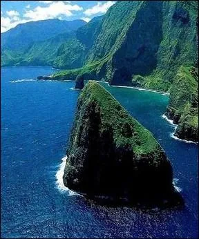 Cochez la bonne rponse.