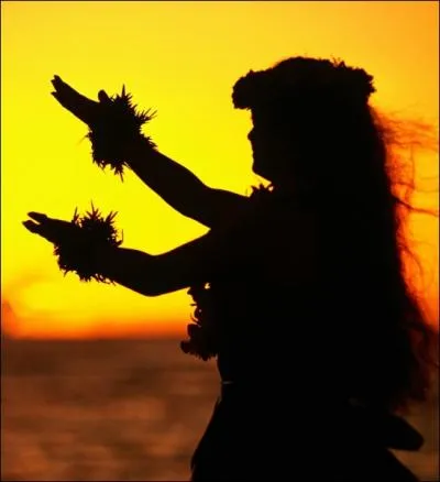 Et comment appelle-t-on la danse typique de Hawaii ?