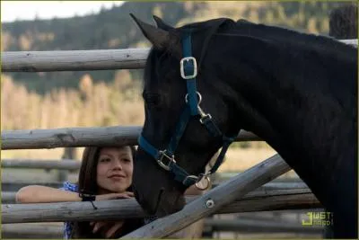 Comment s'appelle ce cheval ?