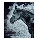 Dans quel ordre doit-on passer l'ponge ?