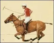 Dans quel ordre passe-t-on les brosses de pansage ?