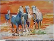 Quelle est la vitesse moyenne d'un cheval au galop ( hors comptition ) ?