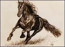 Combien de kilomtres parcourt en moyenne un cheval au pas en une heure ?