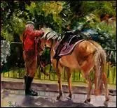 O sont places les balzanes ?