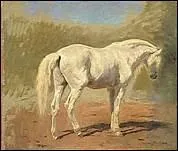 Qu'appelle-t-on la 'raie de mulet' ?