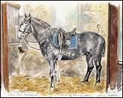 Et en ce qui concerne son abreuvement, qu'en est-il ?