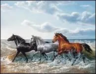 Quel professionnel de la sant spcialis dans les chevaux est capable de soigner une fourbure ?