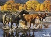 Pourquoi le cheval ne doit-il sous aucun prtexte ingurgiter quelque aliment toxique ?