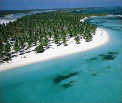 Quel sport illustre abondamment le gnrique de la srie ?