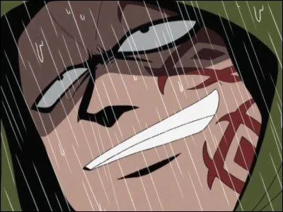 Monkey D. Dragon : Que dirige-t-il ?