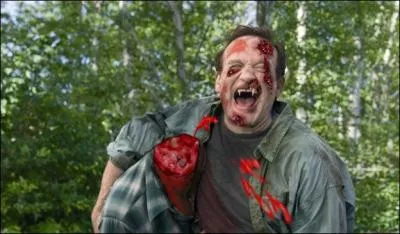 Acteur mouvant dans 'Good Morning, Vietnam', je suis :