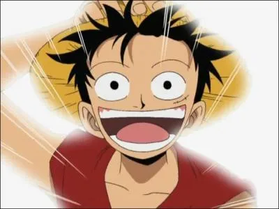 A combien de berrys est Luffy ?