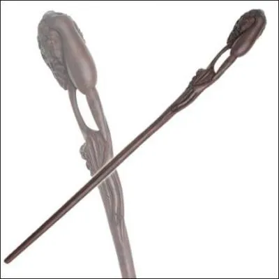 A qui appartient cette baguette ?