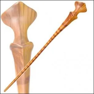 A qui appartient cette baguette ?